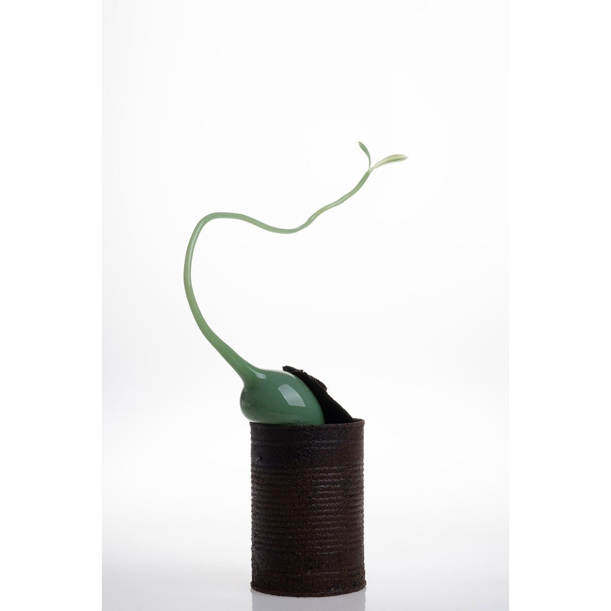 Trachea 2, 2024, cam, paslanmış teneke, Üfleme Tekniği, 18 x 6 x 31 cm.