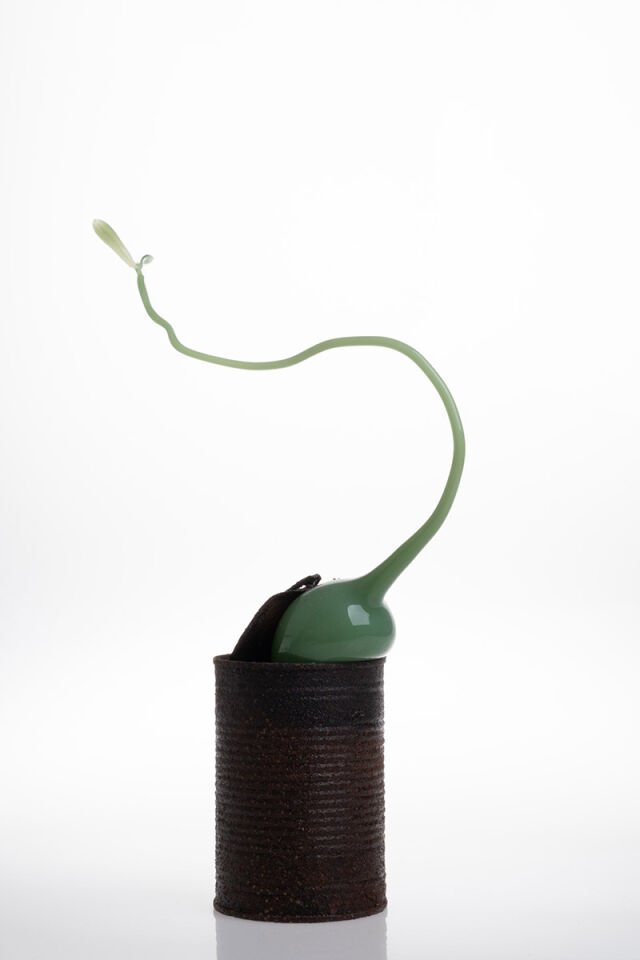 Trachea 2, 2024, cam, paslanmış teneke, Üfleme Tekniği, 18 x 6 x 31 cm.