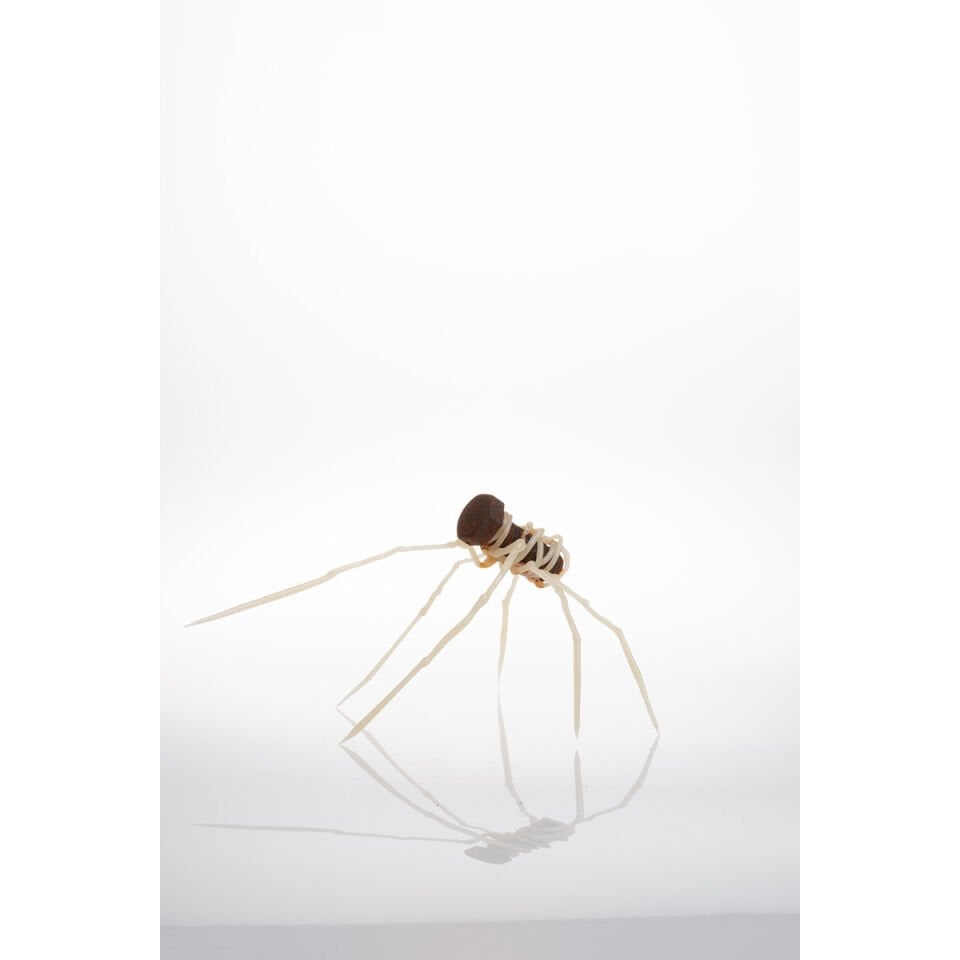 Plantoid, 2024, cam, paslı vida, Alevle Şekillendirme, 23 x 16 x 13 cm.