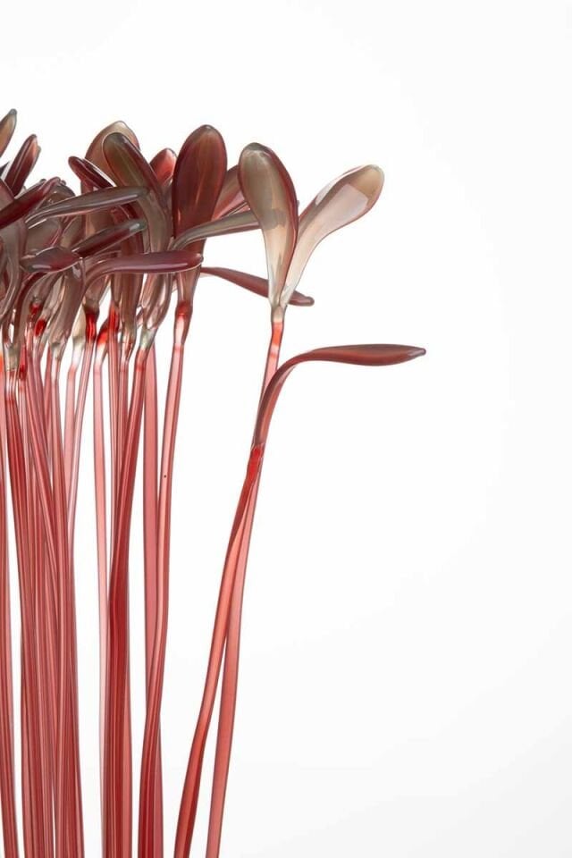 Microgreen, Amaranth, 2026 Cam, paslanmaz çelik, Alevle Şekillendirme, 20 x 20 x 42 cm.