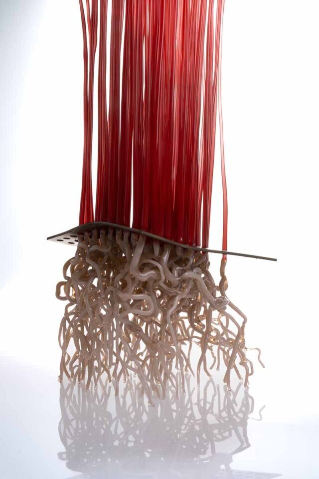 Microgreen, Amaranth, 2026 Cam, paslanmaz çelik, Alevle Şekillendirme, 20 x 20 x 42 cm.