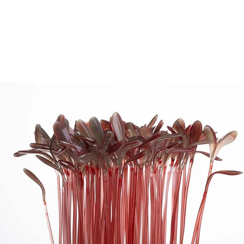 Microgreen, Amaranth, 2026 Cam, paslanmaz çelik, Alevle Şekillendirme, 20 x 20 x 42 cm.